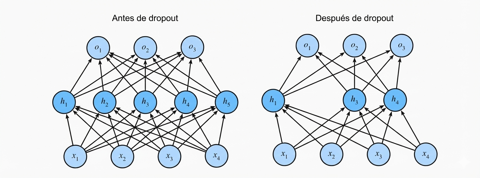 MLP antes y después del dropout